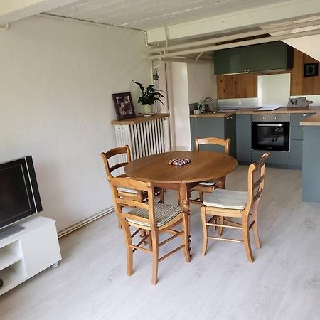 Bel Appartement Rez-De-Jardin Saint-Genest-Malifaux Экстерьер фото