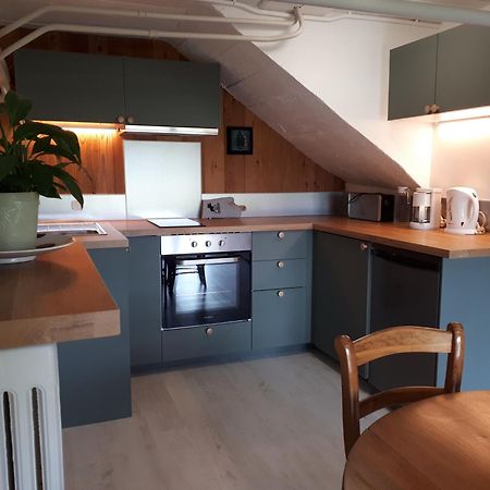Bel Appartement Rez-De-Jardin Saint-Genest-Malifaux Экстерьер фото