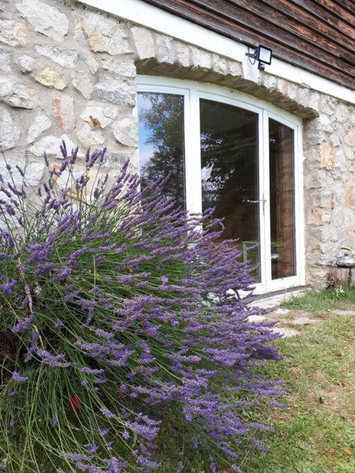Bel Appartement Rez-De-Jardin Saint-Genest-Malifaux Экстерьер фото